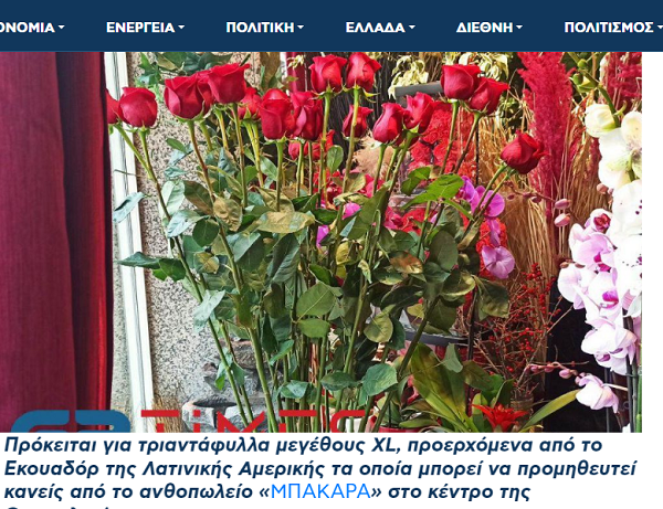 Αφιέρωμα GRTIMES για ανθοπωλείο Μπακαρά Άγιος Βαλεντίνος: Τριαντάφυλλα σε μέγεθος…XL