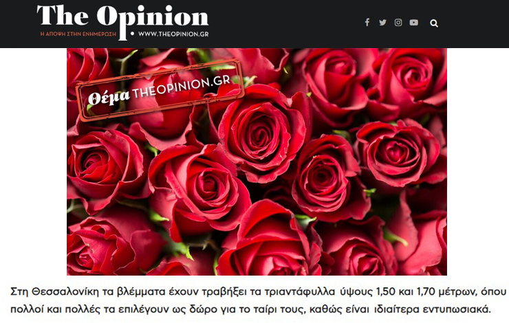 Tribute of Opinion, gr to Bakara Florist