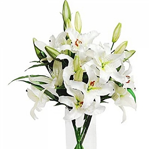 White Lilies 