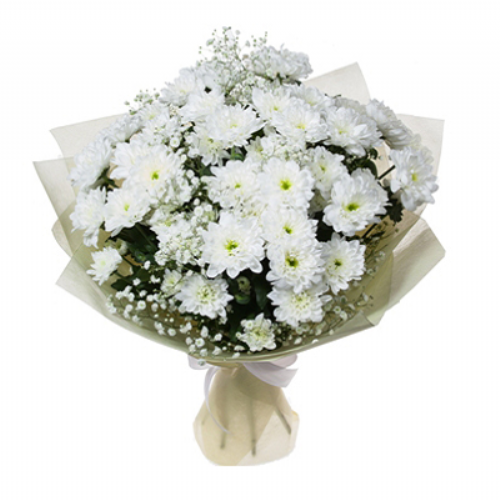 White chrysanthemums 