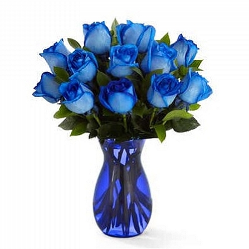 Blue Roses