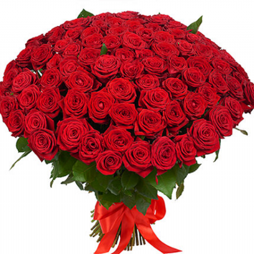 101 red roses