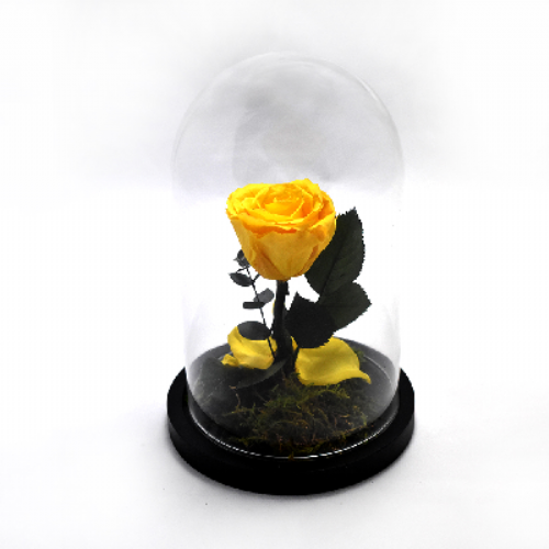 Yellow Forever Rose