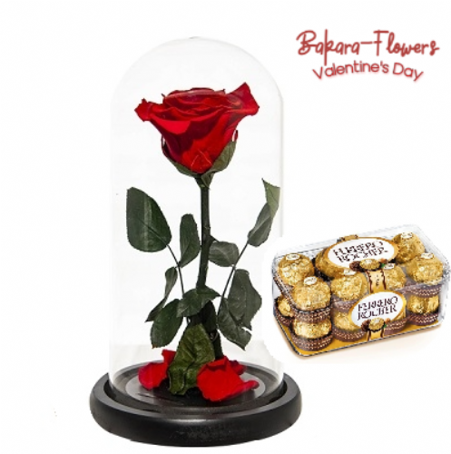 Ferrero Red Rose