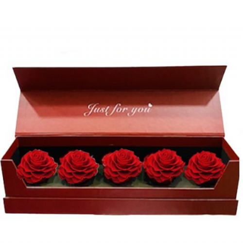 Forever box
