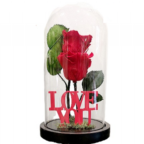 Διπλό Forever Rose 